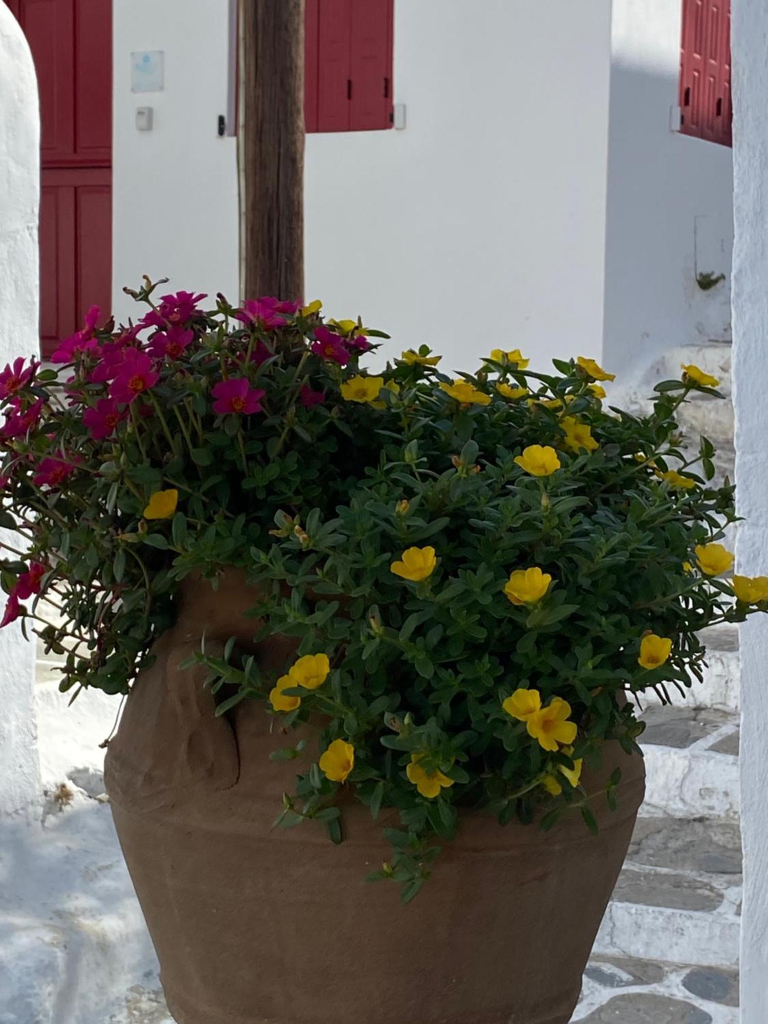 Pensione Della Nonna Ξενοδοχείο Mykonos Town Εξωτερικό φωτογραφία